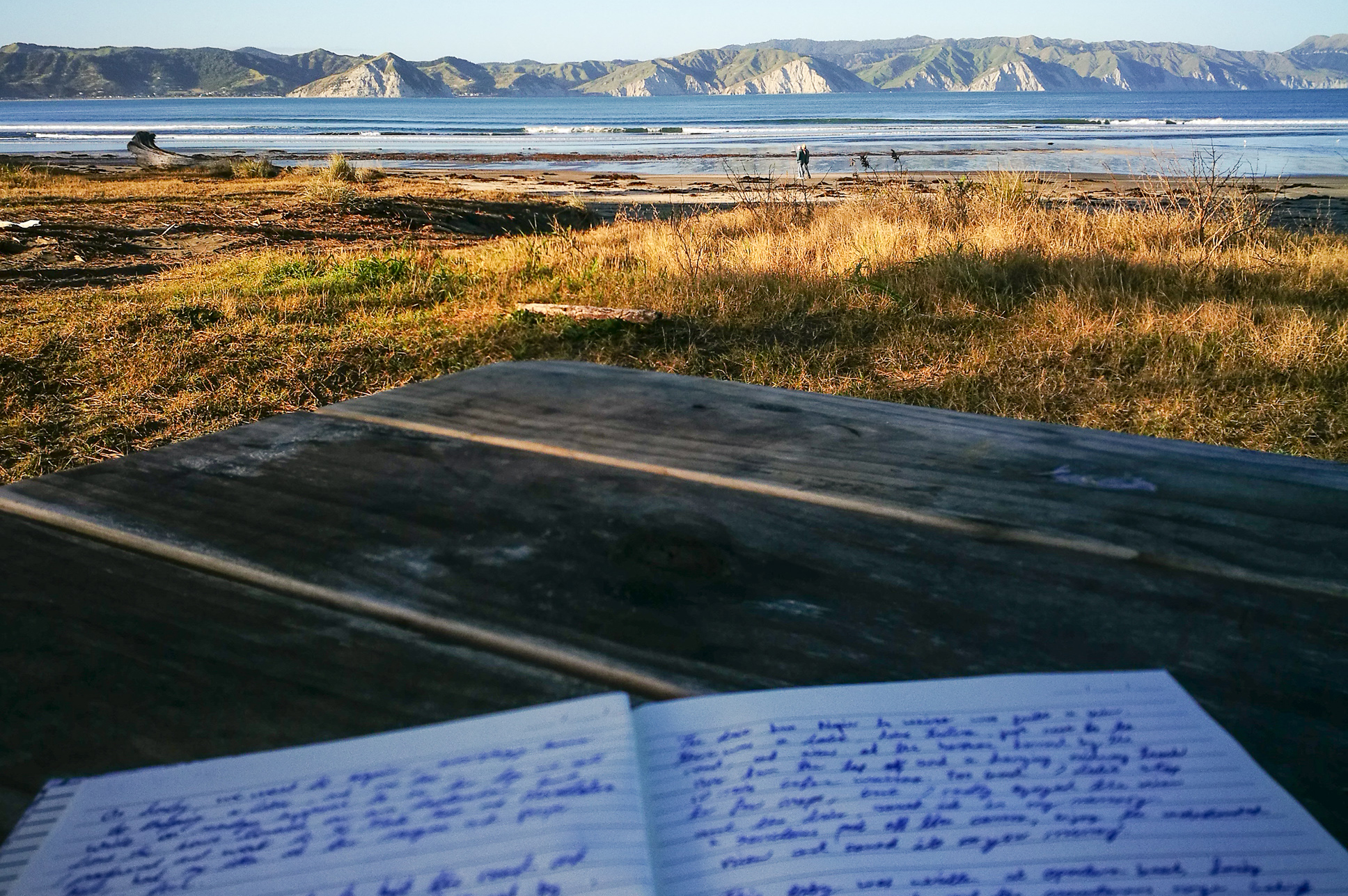 journal writing near a beach